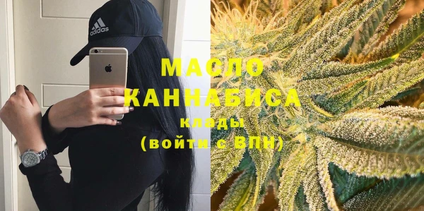 индика Инсар