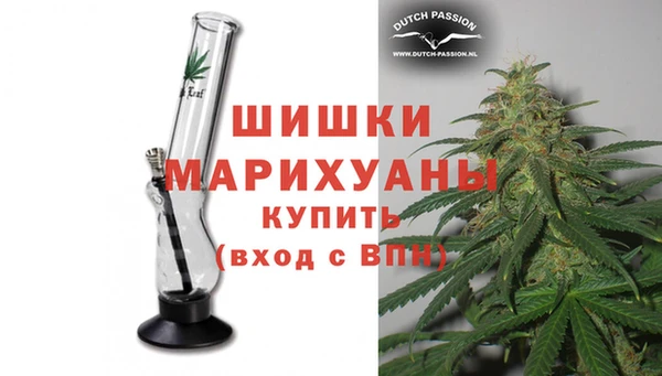 индика Инсар