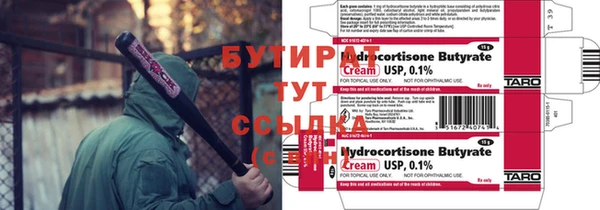 индика Инсар