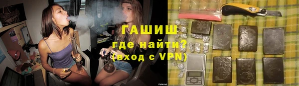 индика Инсар