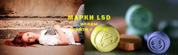 индика Инсар