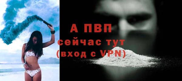индика Инсар
