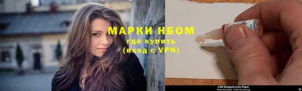 индика Инсар