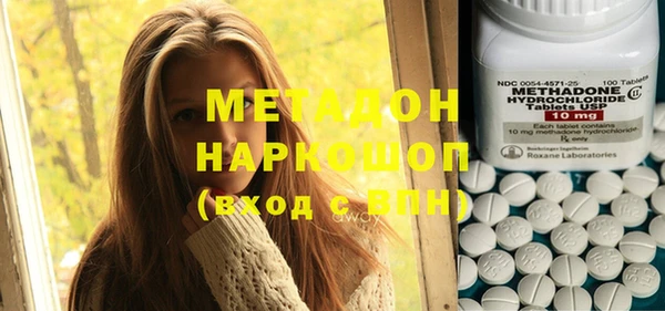 индика Инсар