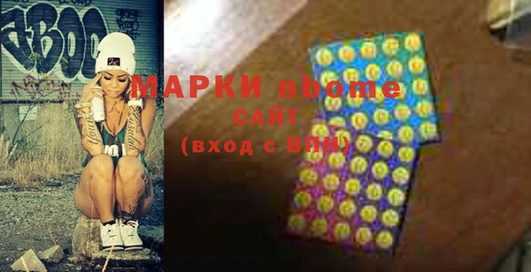 индика Инсар