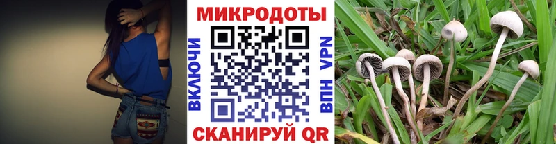 Галлюциногенные грибы GOLDEN TEACHER  Севск 