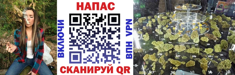 Конопля ГИДРОПОН цена наркотик Севск